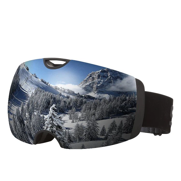 Silver Ski Goggles